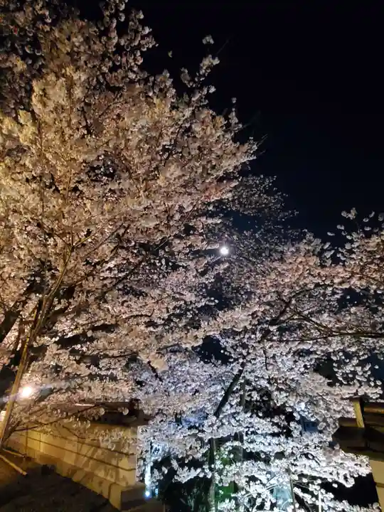 如宝寺(福島県)