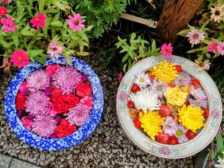 埼玉厄除け開運大師・龍泉寺(切り絵御朱印発祥の寺)(埼玉県)