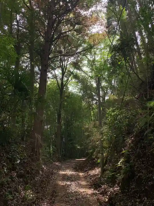 喜多神社の周辺