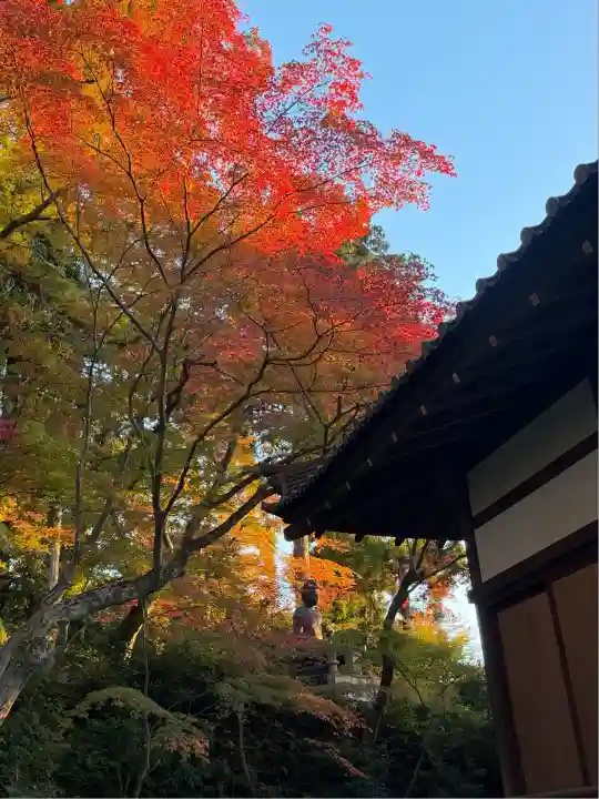 榮攝院(栄摂院)(京都府)