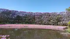 足利織姫神社の周辺