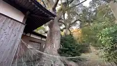 八幡神社(兵庫県)