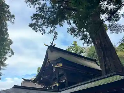 鹿島神宮(茨城県)