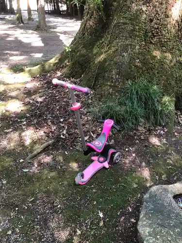 神麻続機殿神社(皇大神宮所管社)の自然