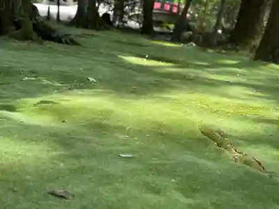 都農神社(宮崎県)