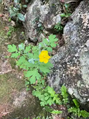 日龍峯寺(高澤観音)(美濃清水)(岐阜県)