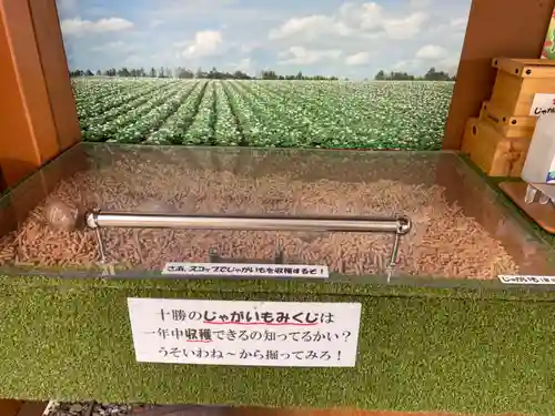 浦幌神社・乳神神社のおみくじ