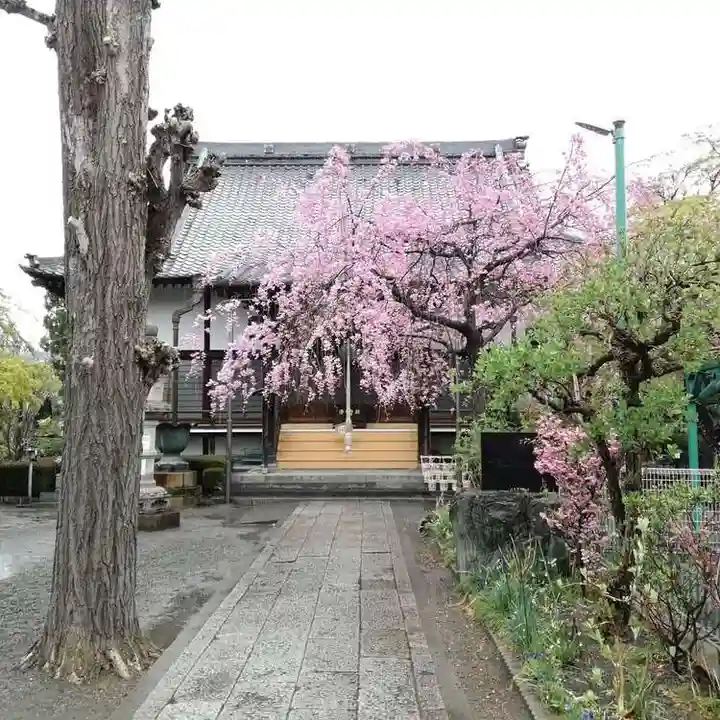 大蔵院の本殿・本堂