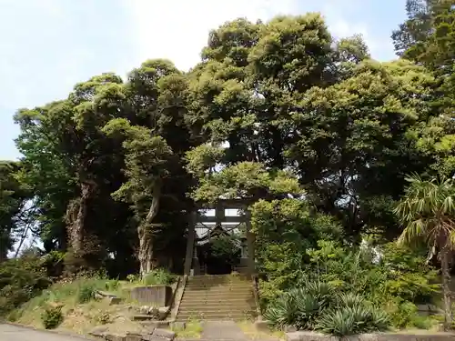忌波神社の自然