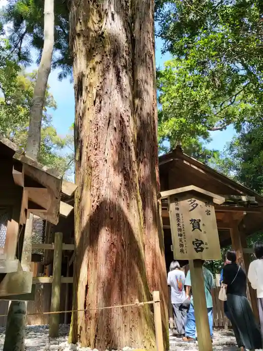 伊勢神宮外宮(豊受大神宮)(三重県)