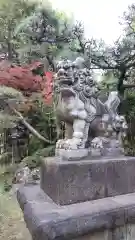 道野辺八幡宮の狛犬