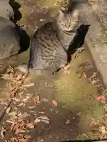 白幡八幡神社(神奈川県)