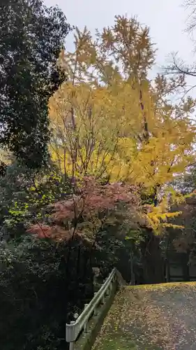 観音寺（山崎聖天）(京都府)