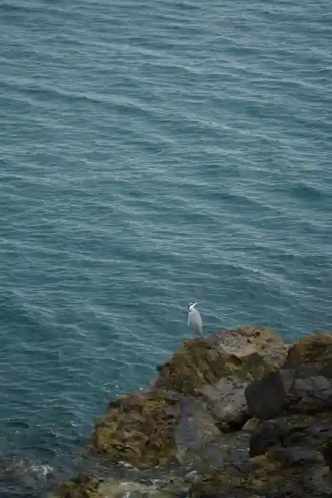 和布刈神社(福岡県)