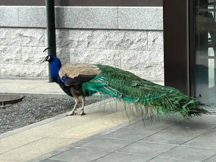 楽法寺(雨引観音)(茨城県)