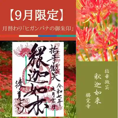 勝覚寺の御朱印