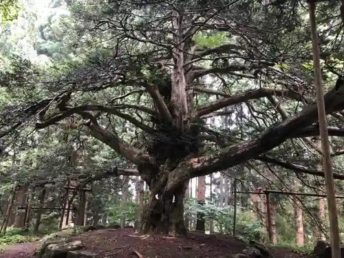 真山神社の自然