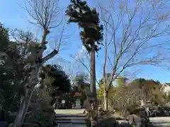 鶴峯八幡宮(千葉県)