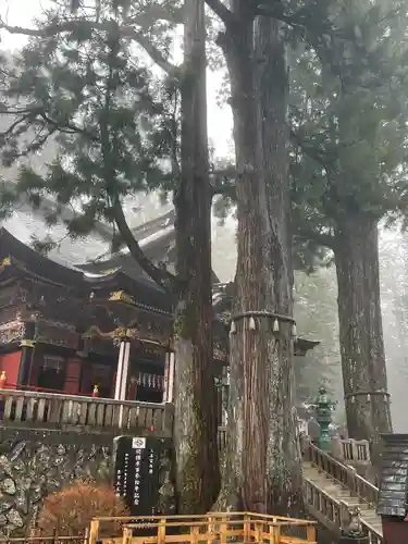 三峯神社(埼玉県)