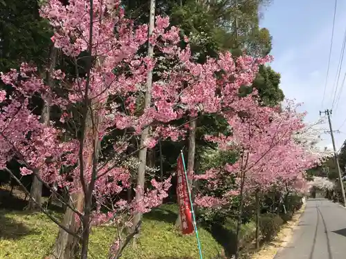 敢國神社の自然