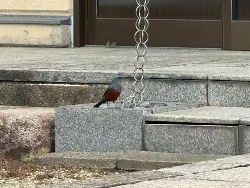 西方山極楽寺(岐阜県)