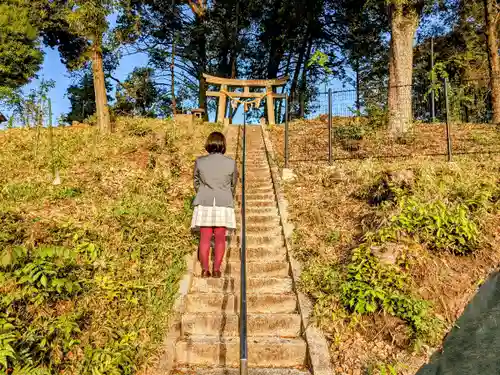 青木稲荷神社の鳥居