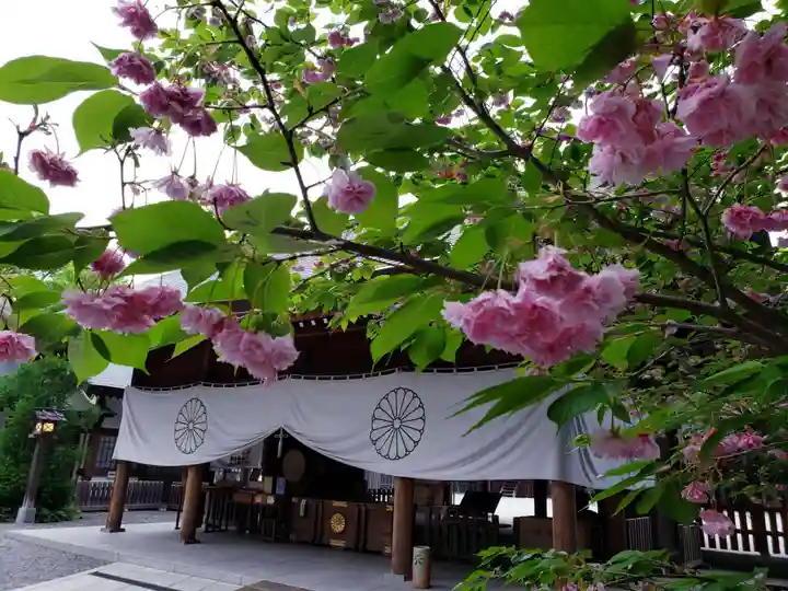 阿佐ヶ谷神明宮(東京都)