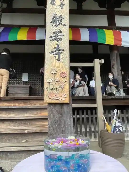 般若寺 ❁コスモス寺❁(奈良県)