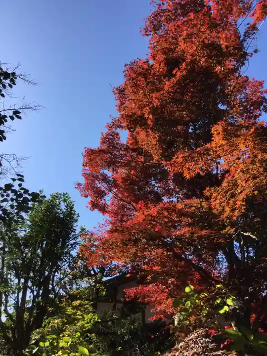 大間々神明宮(群馬県)