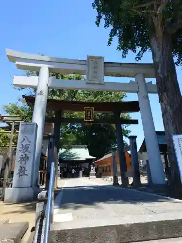 守谷総鎮守 八坂神社の{uncategorized: "未分類", other: "その他", undefined: "問題あり", building: "その他建物", grave: "お墓", sacred_gate: "鳥居", guardian: "狛犬", statue: "像", buddha: "仏像", history: "歴史", nature: "自然", garden: "庭園", animal: "動物", pagoda: "塔", temizu: "手水舎", mountain_gate: "山門・神門", sanctuary: "本殿・本堂", subordinate: "末社・摂社", art: "芸術", scenery: "景色", jizo: "地蔵", ema: "絵馬", goshuin: "御朱印", omikuji: "おみくじ", items: "授与品その他", amulet: "お守り", goshuincho: "御朱印帳", eats: "食事", festival: "お祭り", votive_dance: "神楽", shichigosan: "七五三参", wedding: "結婚式", experience: "体験その他", initially: "初詣", around: "周辺", anti_infection: "感染症対策"}