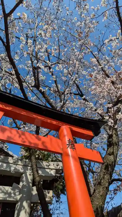 妙雲院(京都府)