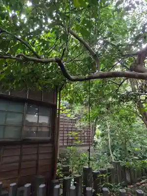 淺野神社(石川県)