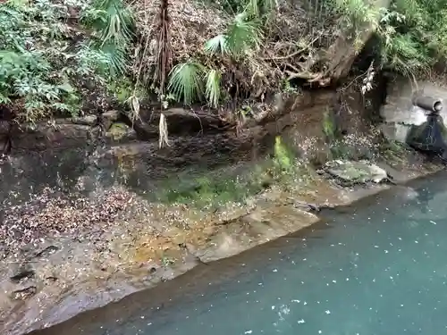 明王院（満願寺別院）の自然