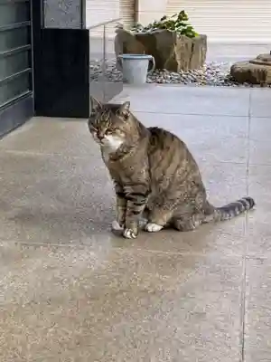 白金氷川神社(東京都)