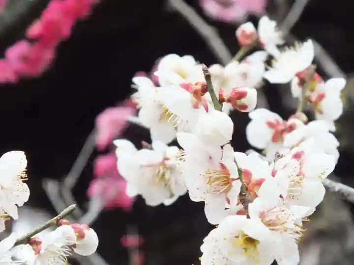 石山寺(滋賀県)
