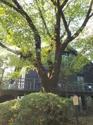 乃木神社(東京都)