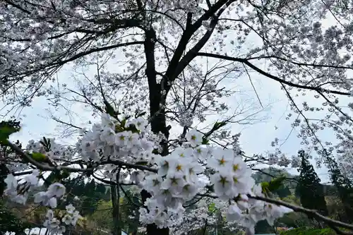 竹之高地不動社(新潟県)