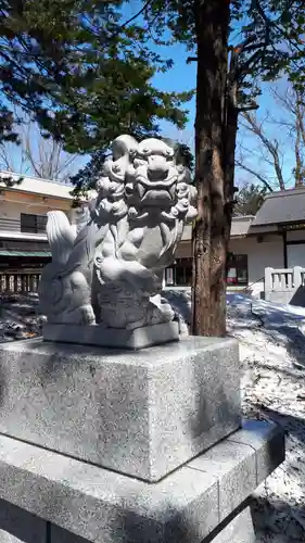 新琴似神社の狛犬