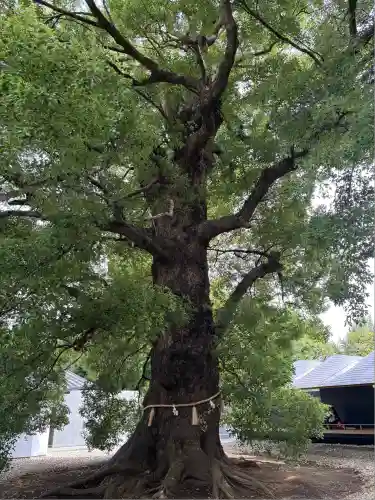 上野東照宮(東京都)