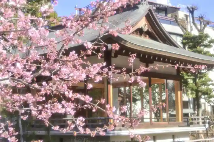 鳩森八幡神社の自然