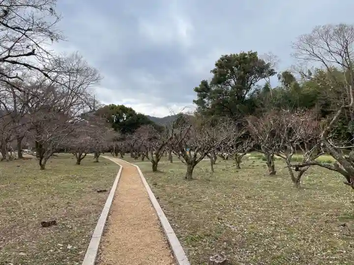大覚寺(京都府)