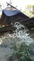 大洗磯前神社の本殿