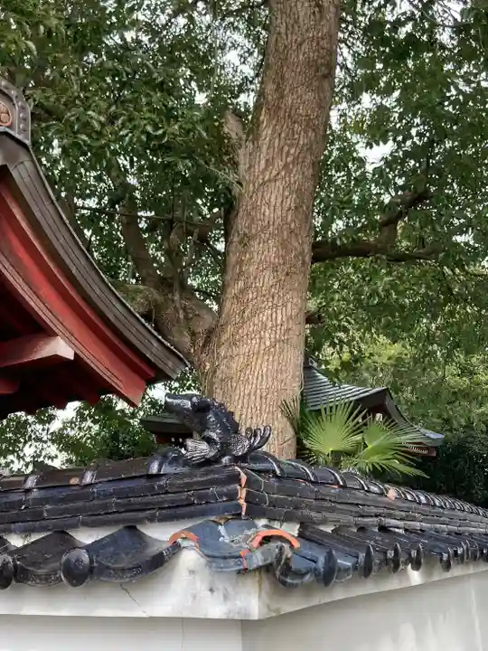 青蓮寺(兵庫県)