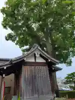 戎神社の本殿・本堂