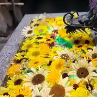 札幌諏訪神社の手水舎