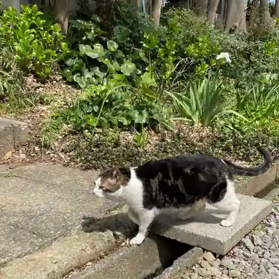 法華経寺(千葉県)