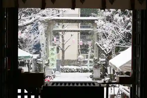 くまくま神社(導きの社 熊野町熊野神社)の景色