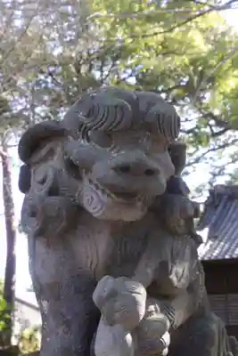 世田谷八幡宮の狛犬