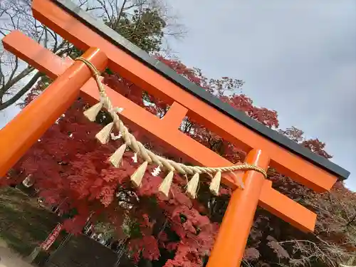 賀茂神社の鳥居