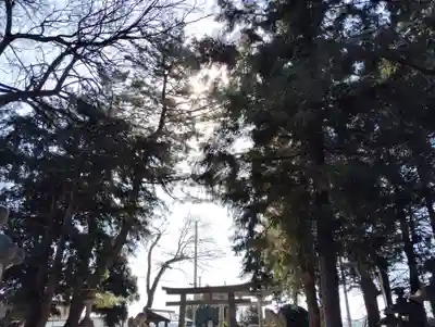 諏訪神社の自然